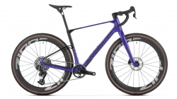 Mondraker Arid Carbon S