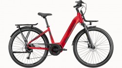 Atala Cult 8.5